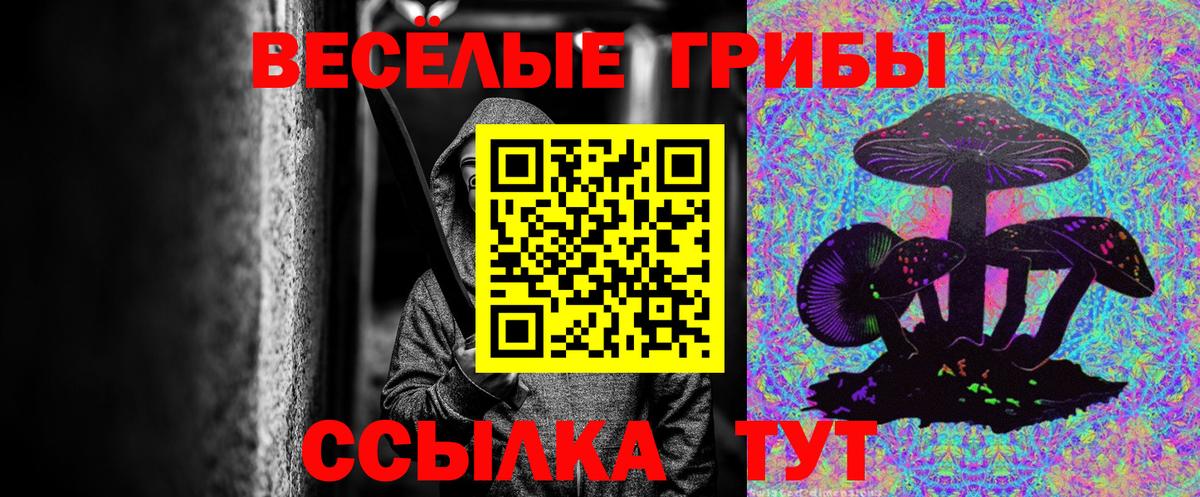 Псилоцибиновые грибы мухоморы  Вход с VPN  Клинцы  Псилоцибиновые грибы GOLDEN TEACHER 